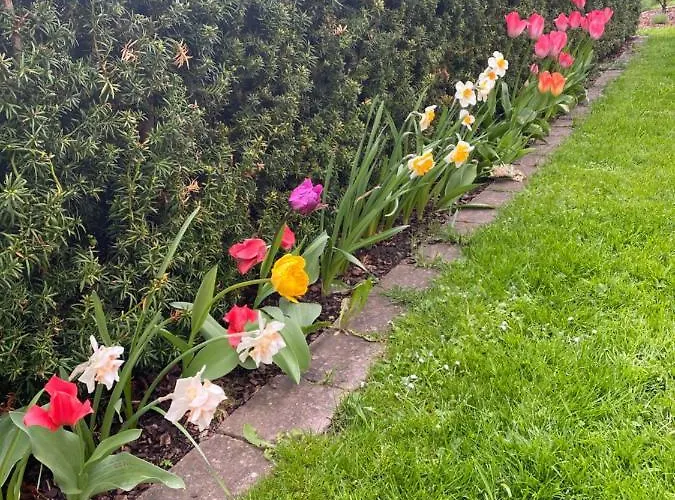 Berghof アパート *